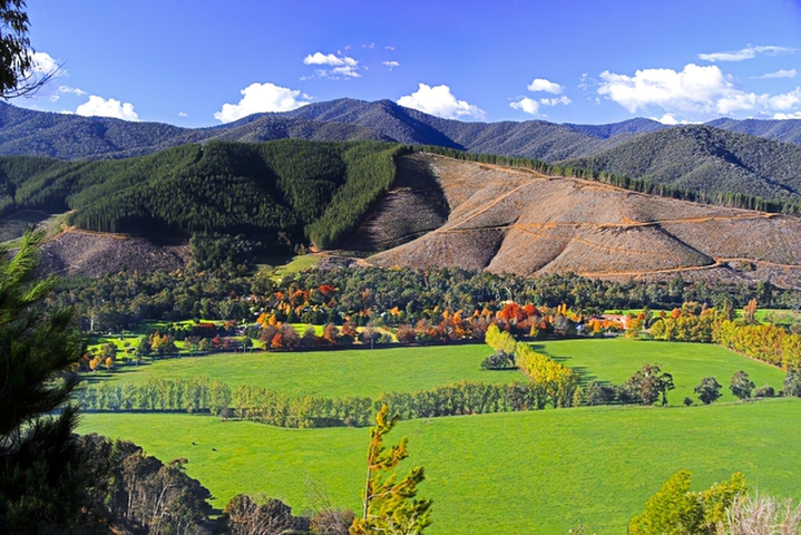 Peace in the ValleyPhotography by Pam Hayson